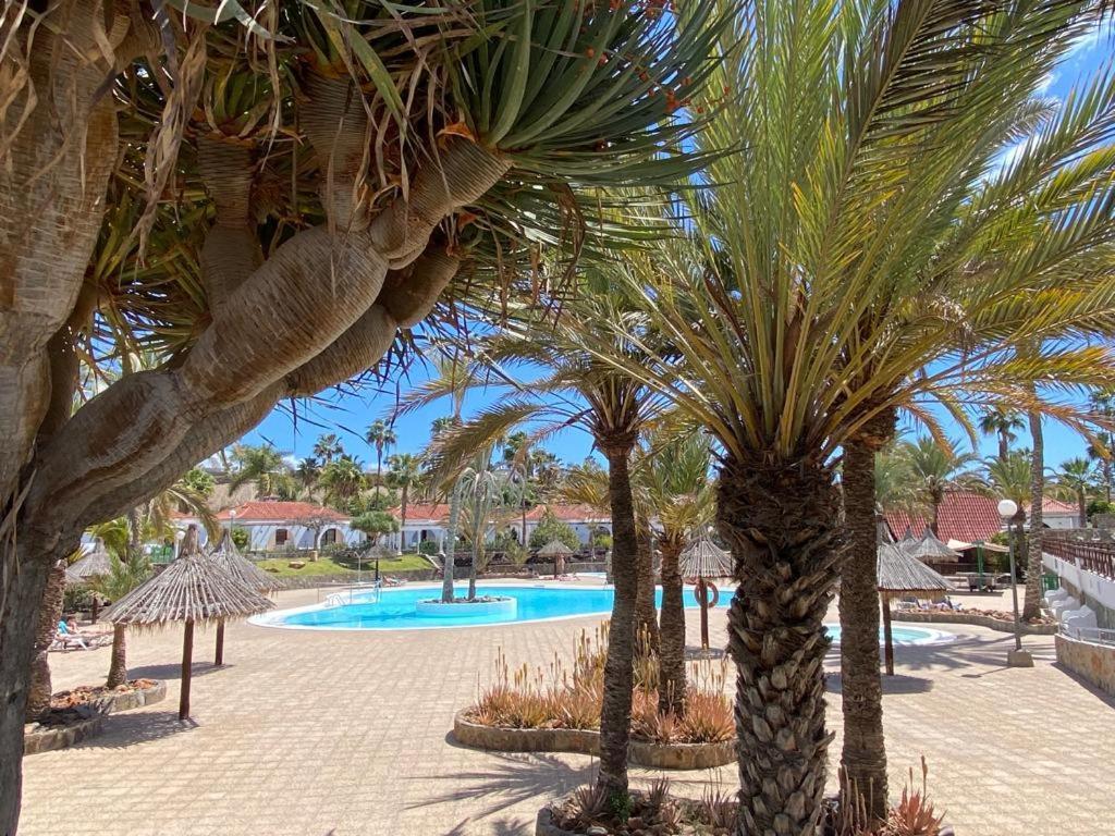 Bungalow Parque Golf By Sunhousescanarias Maspalomas  Esterno foto